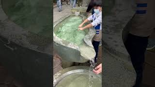 北投淨手礦泉湯-地熱谷的青磺溫泉 Purify your hands with natural hot springs #shorts