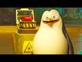 DreamWorks Madagascar | Giant Laser Clip | Penguins of Madagascar Clip | Kids Movies