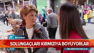 Solungaçları kırmızıya boyuyorlar  - Atv Haber 2 kasım 2019