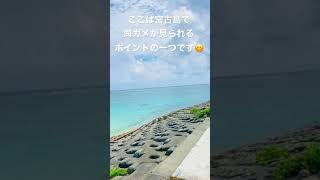 博愛わいわいビーチ🏖宮古島の海ガメポイントです😊