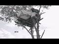 hut on a tree to protect the cultivation in the field gamaka siriya facebook group highlight