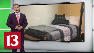 Is Purdue University really housing up to 10 freshmen in one dorm room? Well, yes and no