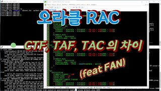 CTF, TAF, TAC 비교 차이점 설명