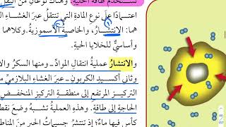 شرح درس الخلية النباتية والخلية الحيوانية علوم سادس ابتدائي