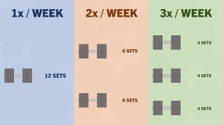 How Many Times per Week Should You Train Each Muscle?