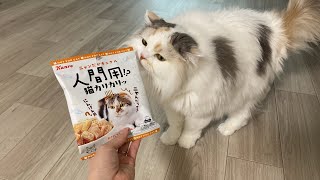 人間用猫カリカリが気になる(飼い主が食べた)