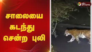 சாலையை கடந்து சென்ற புலி  |Nilgiris