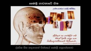 ද්වේශ සිත හදුනාගත් චිත්තයට මෛත්‍රීය Chiththanupassanawa_Niwan Dakimu