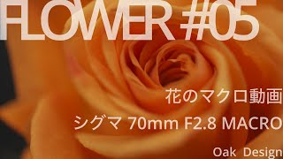 【Flower #05】 マクロレンズ　花のマクロ動画撮影