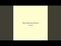 Sky Harmony Aurora