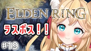 新人Vtuberが王になるエルデンリング！今日こそラスボス余裕っしょ！ラダゴンちょろぴー！【＃ELDENRING】♯1９　※ネタバレ注意