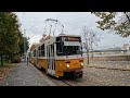 Yellow trams moving through yellow autumn deciduous Budapest city - video by Justin Pereira