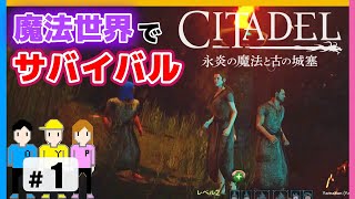 【シタデル永炎の魔法と古の城塞】＃1「まずはチュートリアル」PS4 citadel