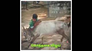 கதிரவன் கொந்தகை ஜல்லிக்கட்டு