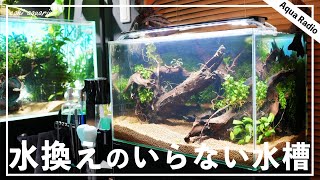 【水槽立ち上げ】水換えのいらない水槽を立ち上げました。【ブルカミア】【アクアラジオ】