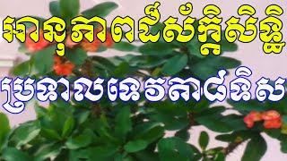 អានុភាពដ៏អស្ចារ្យរបស់ប្រទាលទេវតា៨ទិស - ​ប្រទាលទេវតា៨ទិស ស័ក្តិសិទ្ធិ - Proteal Tevata