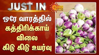 ஒரே வாரத்தில் கத்திரிக்காய் விலை கிடு கிடு உயர்வு | Brinjal Price Hiked within a Week | Sun News