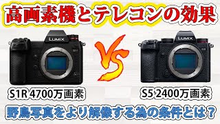 高画素機とテレコンで解像力は上がるのか！？～LUMIX S1R と SIGMA ライトバズーカ/TC-1411 の場合～