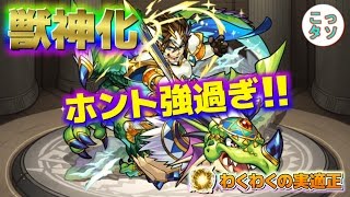 【モンスト】ステータス高っ!! ホント強過ぎ!! でもGB等に注意ｗ 獣神化したロイゼのわくわくの実適正\u0026使ってみた✩【こっタソ】