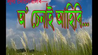 অ চেনাই আহিবি || লুণা সোনোৱাল