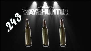 Guide to the .243 ammo change types - Way of the Hunter (outdated Energy)