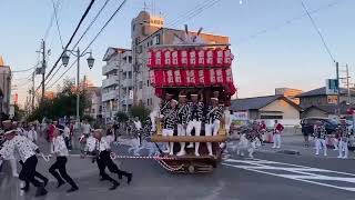 令和六年古市だんじり祭り西町やりまわし