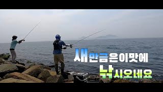 군산 새만금석축우럭낚시(변형채비)