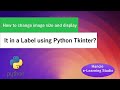 How to change image size and display it in a label using Python Tkinter?