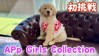 【AP Girls Collection】もしかしたらあーちゃんなのかもしれない