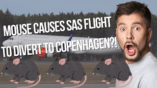 Mouse Causes SAS Flight to Divert to Copenhagen?!