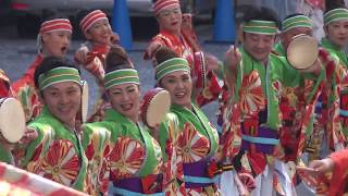 妃龍　2018 町田夢舞生ッスイ祭 東急会場