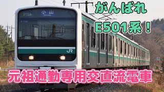 【迷列車で行こう ほぼ日編第201日】一旦は交直流電車として活躍したが、あまり製造されなかったE501系