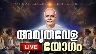 13.0.2025 Amruthvela Yogam | Brahma Kumaris Satsang @ Shivajyothibhavan Palakkad | BK Keralam