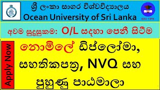 Diplomas, Certificate courses and Training programs @ Ocean Unicversity of Sri Lanka