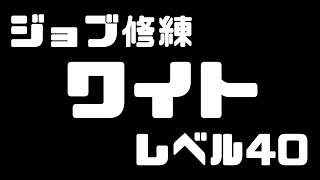 【DDON】ワイト40Lv～同時2体(ジョブ修練)【2015/11/08】