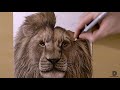 speed drawing mufasa the lion king