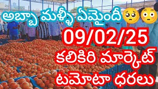 09-02-25 Kalakada Tomato Market price Today || Today Tomato Market Rate in Kalikiri #today