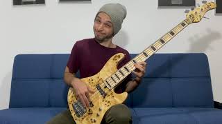 Shakti - La Danse Du Bonheur - Guy Bernfeld Bass Cover