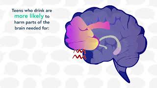 Alcohol & the developing teen brain