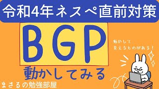 【ネスペ22年 #2】BGPの基本設定