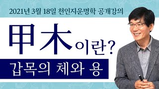 천인지운명학 공개 라이브 강의 : 갑목의 체용