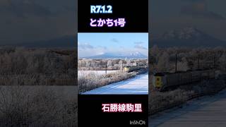 【ｷﾊ261】ラベンダー編成増結とかち1号🪻 #jr北海道 #応援 #大好き #鉄道 #train #キハ261系 #石勝線 #千歳市 #shorts