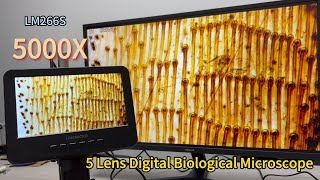 LINKMICRO LM266S 5 Lens 5000X Digital Biological Microscope with Mechanical Stage #review