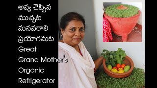 Organic janatha Refrigerator/ Natural Preservative Method/live village life with me/Microgreens pot