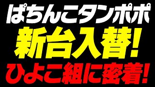 タンポポ新台入替にひよこ組参戦！【タンポポぱちんこ物語】