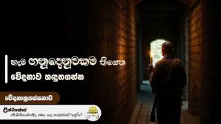 වේදනානුපස්සනා​ව විශේ​ෂ දේශ​නා මාලා​ව 03 | Niwan Dakimu