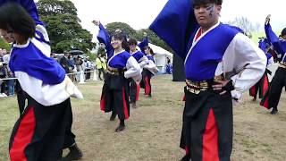 早稲田大学❝踊り侍❞『零 -ZERO-』／第14回 かわさき楽大師まつり 厄除よさこい2018‏