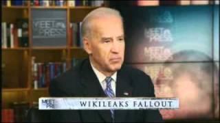 Assange a high-tech terrorist: Biden