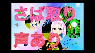 さば取り　声あり　アガリオ