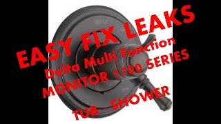 Fix Leaking Delta Monitor 1700 tub - shower part # RP46463